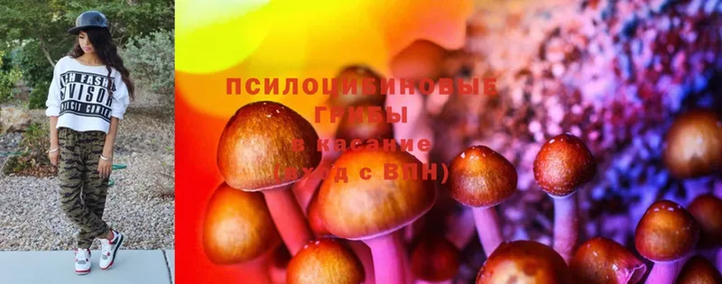 Галлюциногенные грибы Cubensis Анадырь