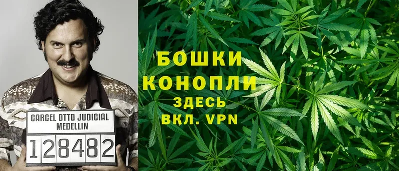 цена наркотик  кракен ССЫЛКА  МАРИХУАНА SATIVA & INDICA  Анадырь 